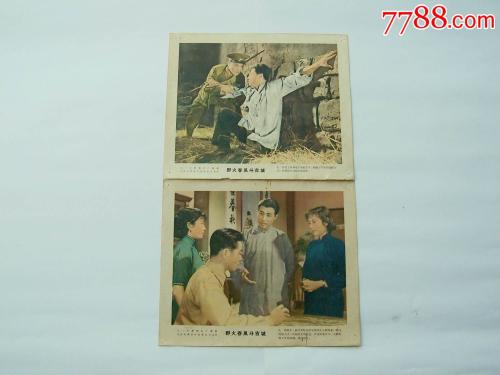 仿制假法国驾驶执照
